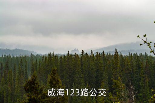 123路，威海123路公交
