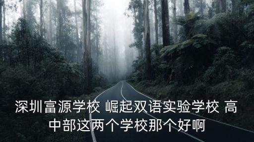 深圳富源學校 崛起雙語實驗學校 高中部這兩個學校那個好啊
