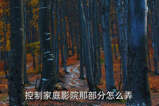 控制家庭影院那部分怎么弄