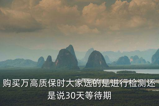 購買萬高質保時大家選的是進行檢測還是說30天等待期