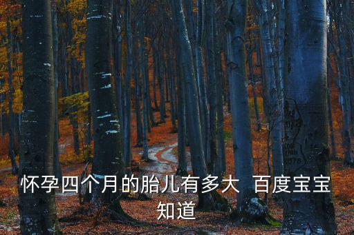 懷孕四個月胎兒，懷孕快四個月了胎兒有多大了  百度寶寶知道