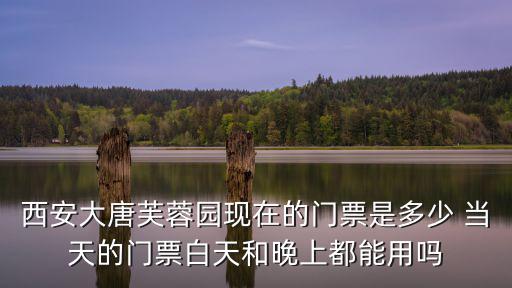 西安大唐芙蓉園現在的門票是多少 當天的門票白天和晚上都能用嗎