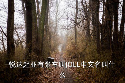 悅達起亞有張車叫JOLL中文名叫什么