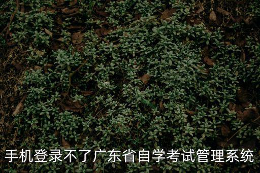 廣東省自考管理系統(tǒng)，手機(jī)登錄不了廣東省自學(xué)考試管理系統(tǒng)