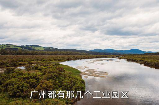 廣州工業(yè)區(qū)，請問廣州哪里有大型的工業(yè)區(qū)