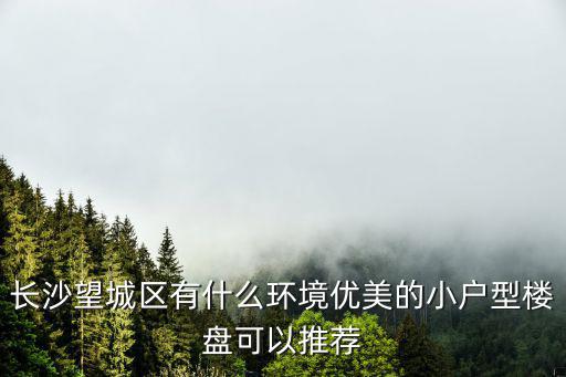 長沙小戶型樓盤，長沙現在有哪些正要開盤的小戶型樓盤