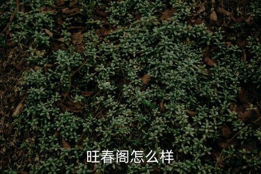 旺春閣怎么樣