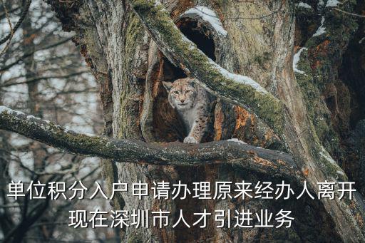 單位積分入戶申請辦理原來經辦人離開現在深圳市人才引進業務