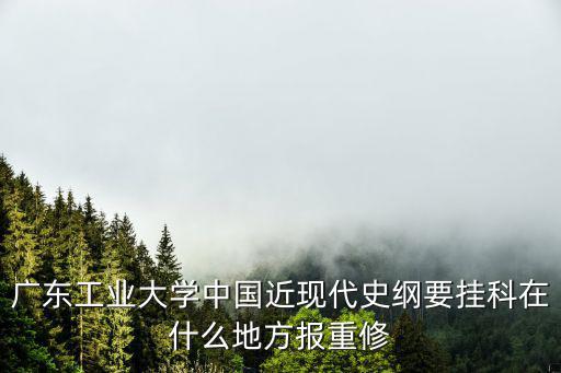 廣東工業大學中國近現代史綱要掛科在什么地方報重修