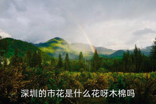 深圳的市花是什么花呀木棉嗎