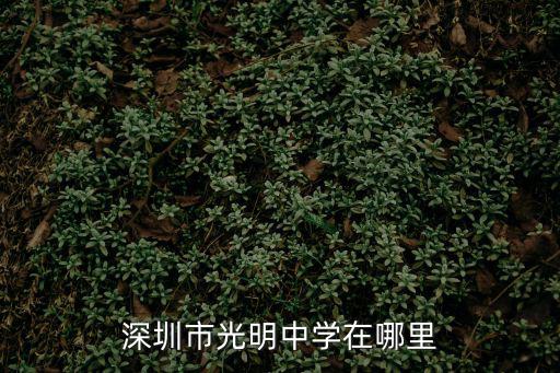 深圳光明中學，深圳明珠中學和深圳光明中學哪個好