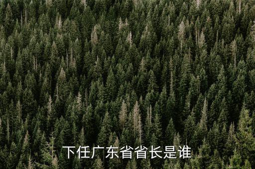 下任廣東省省長是誰