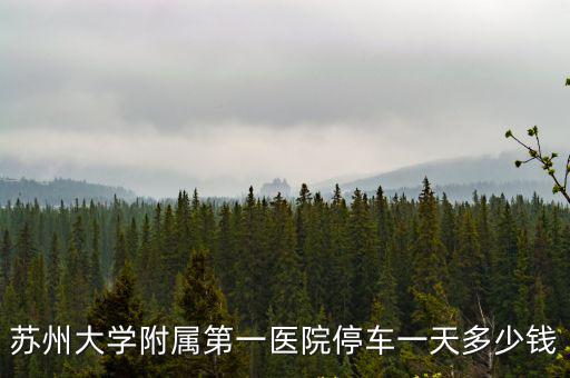 蘇州大學附屬第一醫(yī)院停車一天多少錢