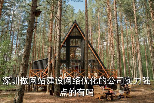 深圳做網站建設網絡優化的公司實力強點的有嗎