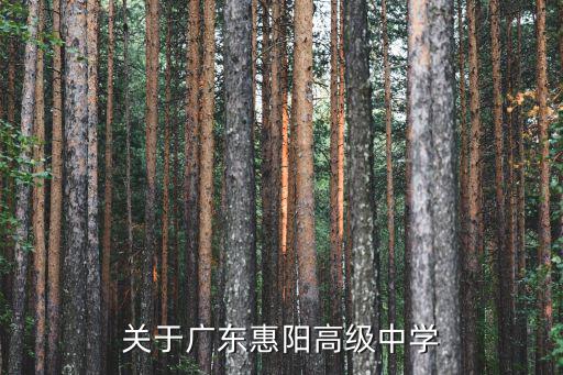 關于廣東惠陽高級中學