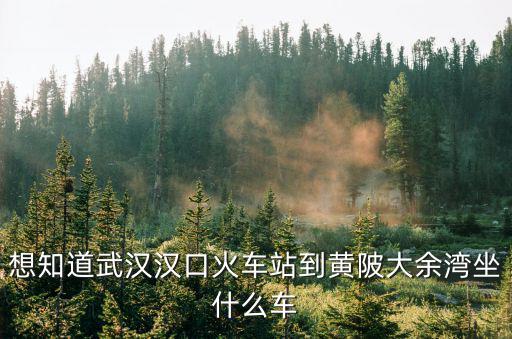 想知道武漢漢口火車站到黃陂大余灣坐什么車