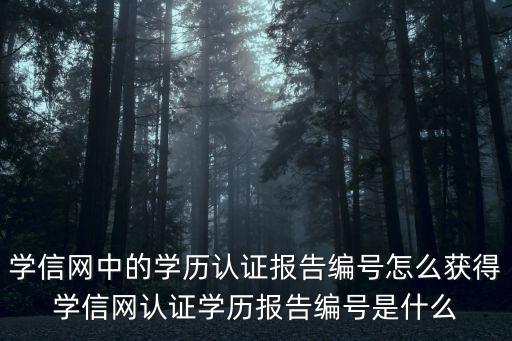學信網中的學歷認證報告編號怎么獲得學信網認證學歷報告編號是什么