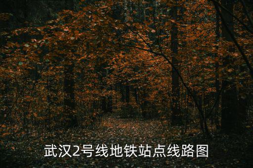 武漢2號(hào)線地鐵站點(diǎn)線路圖