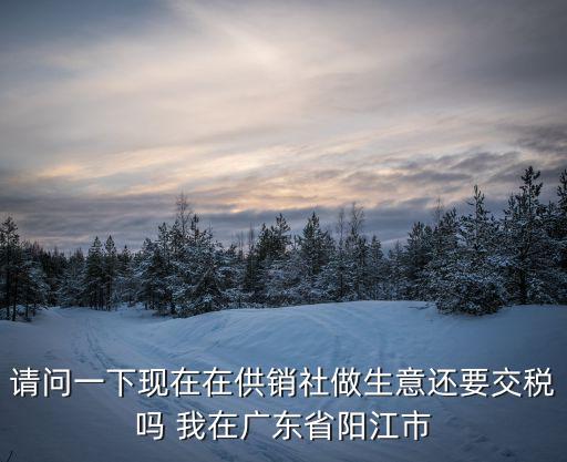 請問一下現在在供銷社做生意還要交稅嗎 我在廣東省陽江市