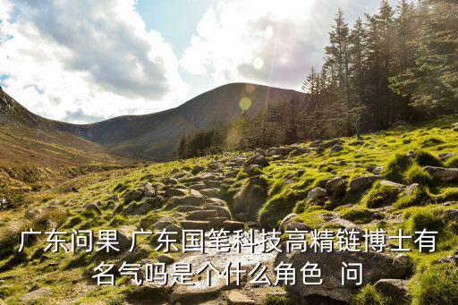 廣東問果 廣東國筆科技高精鏈博士有名氣嗎是個什么角色  問
