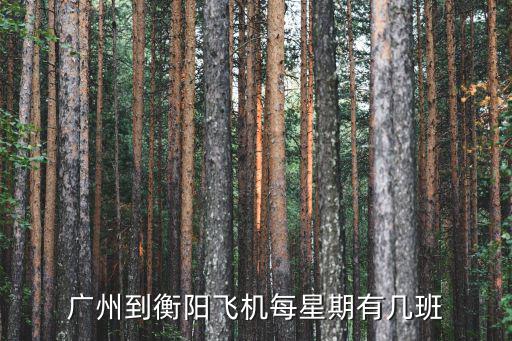 廣州到衡陽，廣州到衡陽飛機每星期有幾班