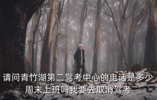 請問青竹湖第二駕考中心的電話是多少周末上班嗎我要去取消駕考