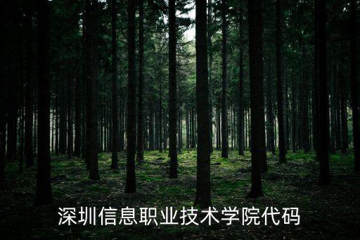 深圳信息職業(yè)技術學院代碼