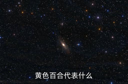 黃色百合代表什么