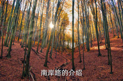 南岸路，廣州南岸路到廣州天河正佳廣場坐哪路公交車