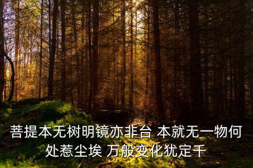 本無，請問本無王顯貴的意思