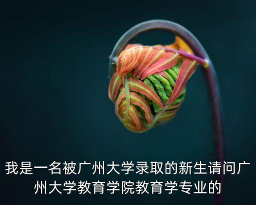 我是一名被廣州大學錄取的新生請問廣州大學教育學院教育學專業的