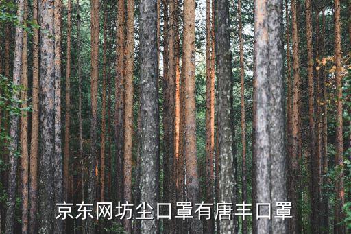 京東網(wǎng)坊塵口罩有唐豐口罩