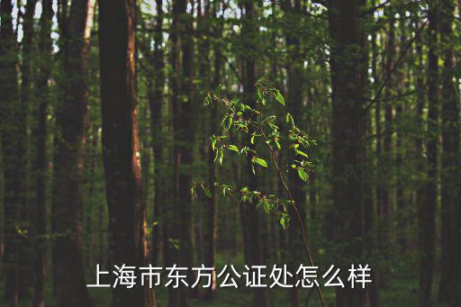 上海市東方公證處怎么樣