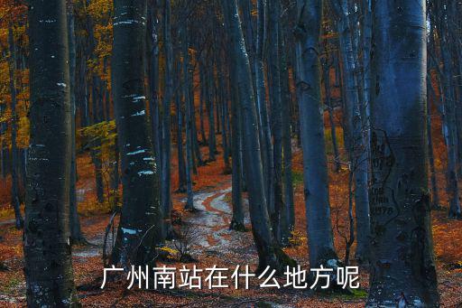 廣州南站在什么地方呢