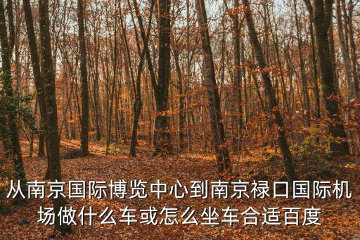 從南京國際博覽中心到南京祿口國際機場做什么車或怎么坐車合適百度
