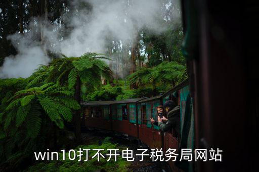 win10打不開電子稅務局網站
