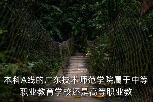 本科A線的廣東技術師范學院屬于中等職業教育學校還是高等職業教