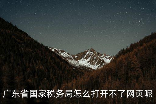 廣東省國(guó)家稅務(wù)局怎么打開(kāi)不了網(wǎng)頁(yè)呢
