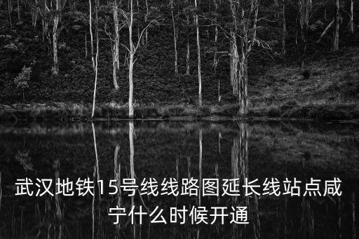 武漢地鐵15號線線路圖延長線站點咸寧什么時候開通