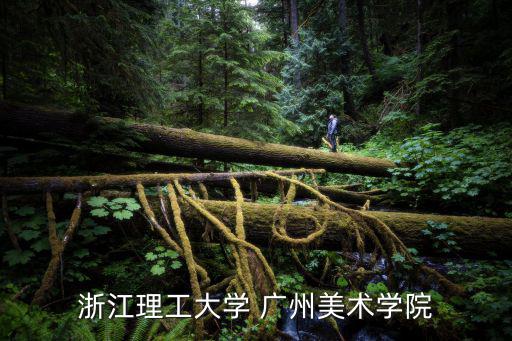 浙江理工大學(xué) 廣州美術(shù)學(xué)院