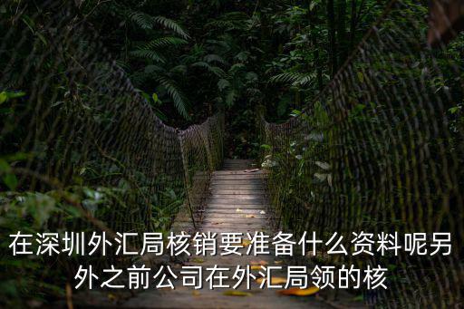 在深圳外匯局核銷要準備什么資料呢另外之前公司在外匯局領的核
