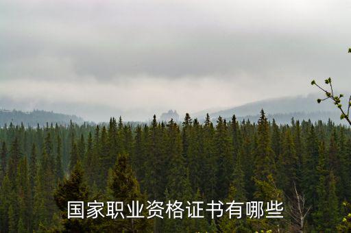 資格證書有哪些，從業資格證有哪些
