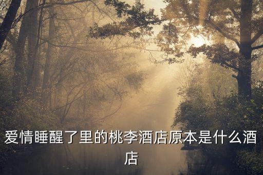 愛情睡醒了里的桃李酒店原本是什么酒店