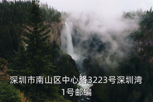 深圳市南山區中心路3223號深圳灣1號郵編