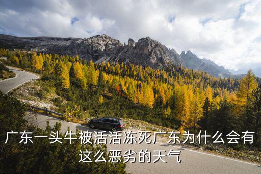 廣東一頭牛被活活凍死，疑問總覺得的一條牛這么大的動物都被冷凍得死真不可思議