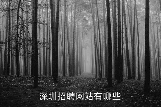 深圳招聘網(wǎng)站有哪些