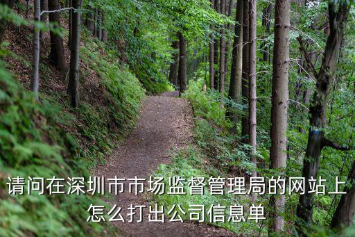 請問在深圳市市場監督管理局的網站上怎么打出公司信息單