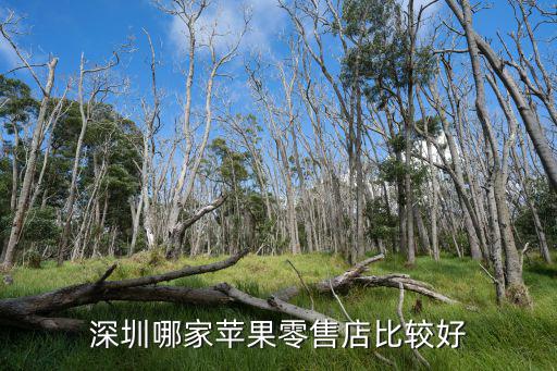 深圳哪家蘋果零售店比較好