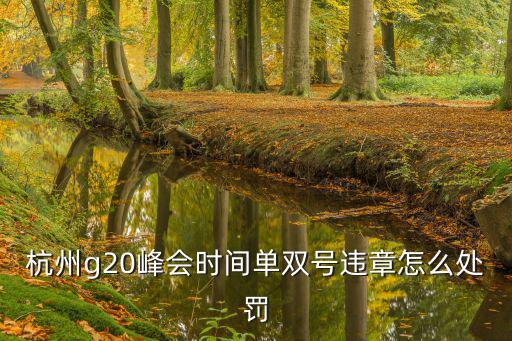 杭州g20峰會時間單雙號違章怎么處罰