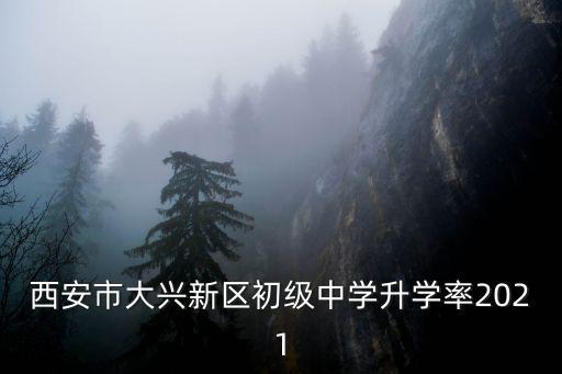 西安市大興新區初級中學升學率2021